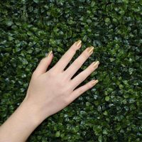 Follaje Artificial Boxwood - Imagen 3