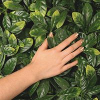 Follaje Artificial Laurel Europa - Imagen 3