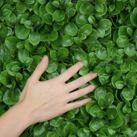 Follaje Artificial Peperomia - Imagen 3