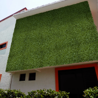 Follaje Artificial Peperomia - Imagen 4
