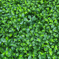 Follaje Artificial Ficus - Imagen 2